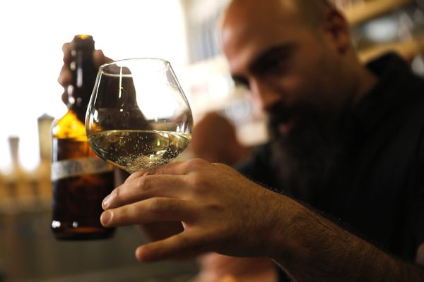 Israeli Scientists Brew Beer with Revived Ancient Yeasts